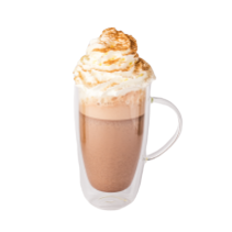 Milk Belgian Hot Chocolate